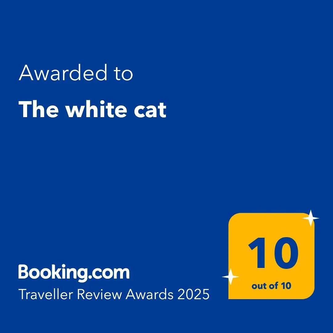 The White Cat Villa Naples Italy